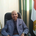 Emad A Hussein 