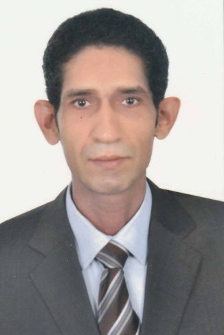 Shady El-Ghaish