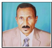 Abdalla A Satti