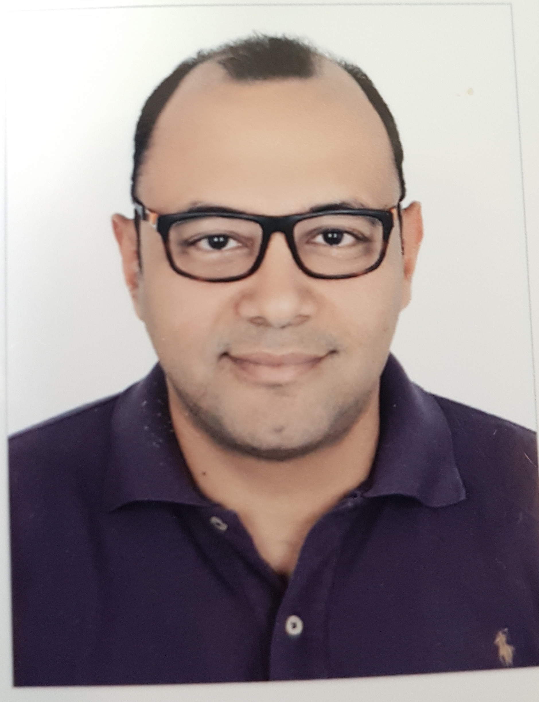 Ashraf Abdelsalam Mohamedei Metwally